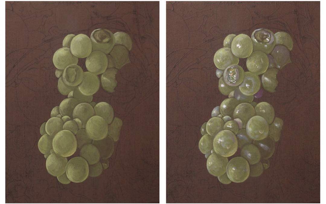 Material Properties and Image Cues to Paint Convincing Grapes
